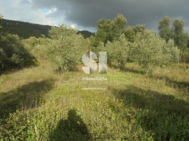 Terreno Urbano T0 - Lous�, Lous�, Coimbra - Miniatura: 3/6