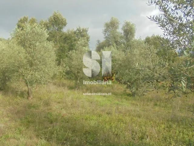 Terreno Urbano T0 - Lous�, Lous�, Coimbra - Miniatura: 4/6