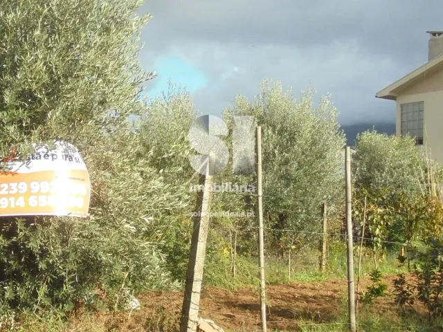 Terreno Urbano T0 - Lous�, Lous�, Coimbra - Miniatura: 6/6