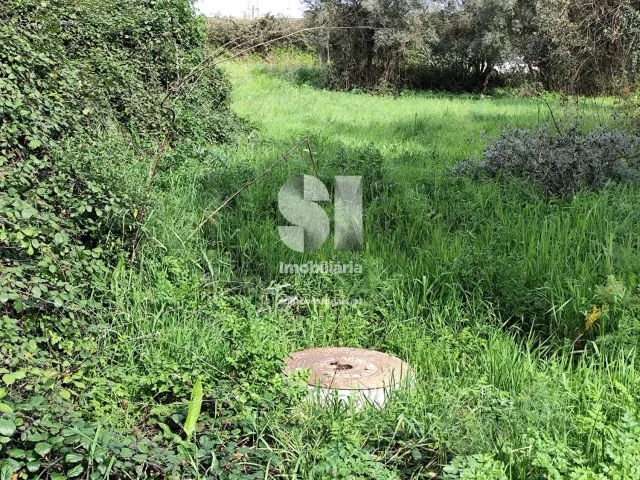 Terreno Urbano T0 - Pampilhosa, Mealhada, Aveiro - Miniatura: 3/10