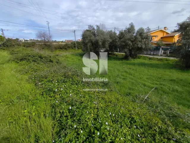 Terreno Urbano T0 - Pampilhosa, Mealhada, Aveiro - Miniatura: 4/10