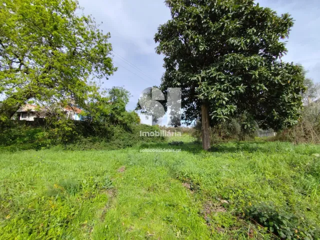 Terreno Urbano T0 - Pampilhosa, Mealhada, Aveiro - Miniatura: 8/10