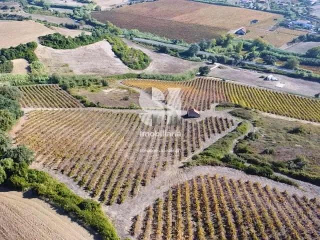 Terreno R�stico T0 - Dois Portos, Torres Vedras, Lisboa - Miniatura: 15/21