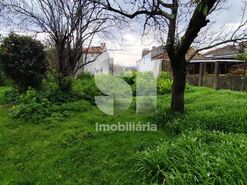 Terreno Urbano T0 - Tamengos, Anadia, Aveiro - Miniatura: 1/5