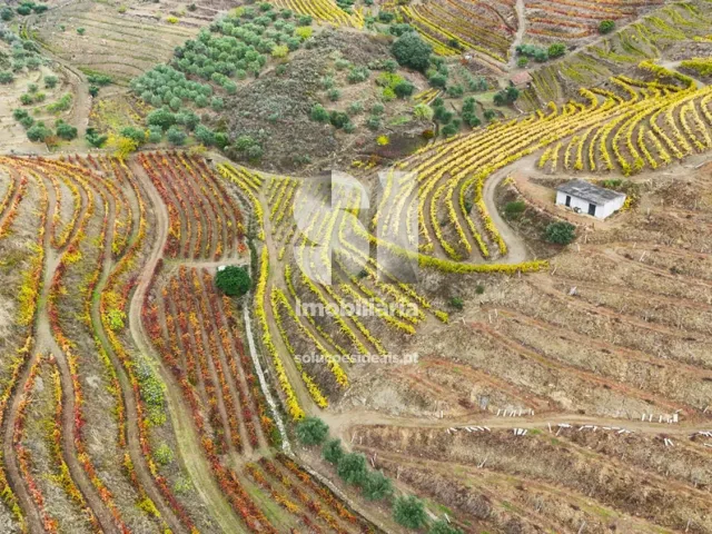 Terreno Urbano T0 - Candedo, Mur�a, Vila Real - Miniatura: 1/39