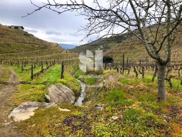 Terreno Urbano T0 - Candedo, Mur�a, Vila Real - Miniatura: 2/39