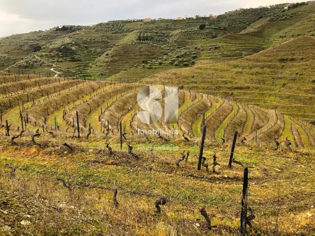 Terreno Urbano T0 - Candedo, Mur�a, Vila Real - Miniatura: 7/39