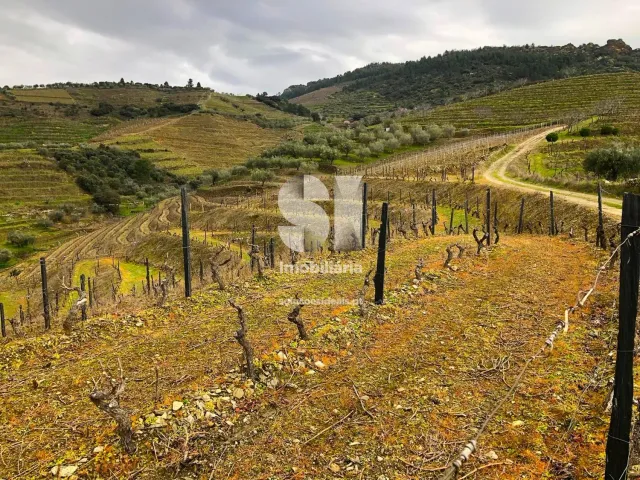 Terreno Urbano T0 - Candedo, Mur�a, Vila Real - Miniatura: 8/39
