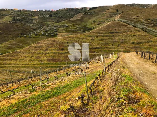 Terreno Urbano T0 - Candedo, Mur�a, Vila Real - Miniatura: 9/39