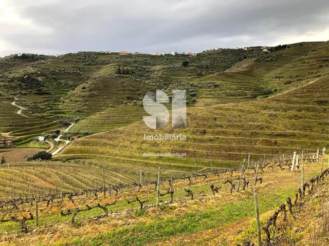 Terreno Urbano T0 - Candedo, Mur�a, Vila Real - Miniatura: 13/39