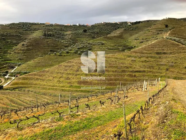 Terreno Urbano T0 - Candedo, Mur�a, Vila Real - Miniatura: 14/39