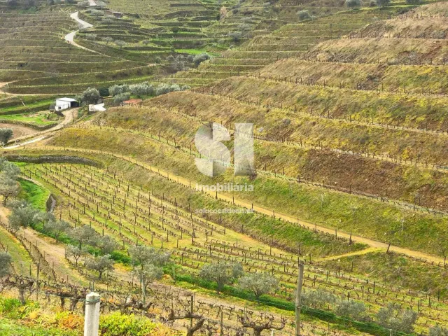 Terreno Urbano T0 - Candedo, Mur�a, Vila Real - Miniatura: 18/39
