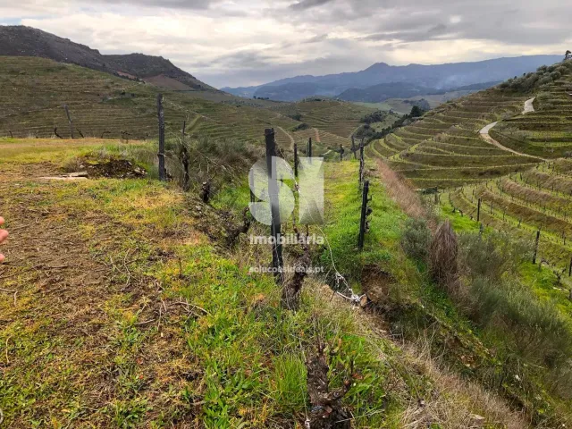 Terreno Urbano T0 - Candedo, Mur�a, Vila Real - Miniatura: 23/39