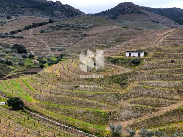 Terreno Urbano T0 - Candedo, Mur�a, Vila Real - Miniatura: 24/39