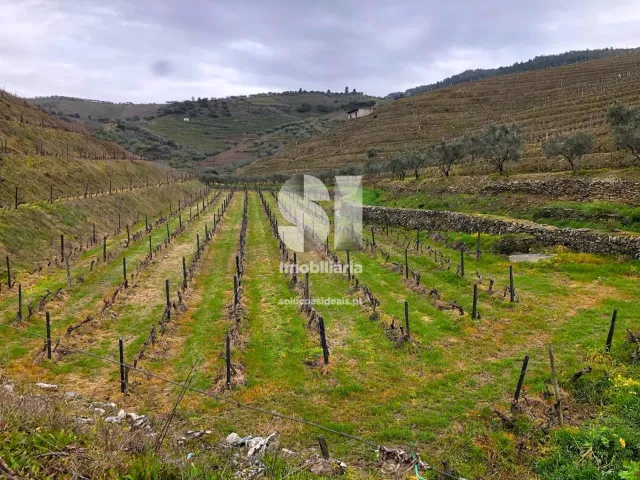 Terreno Urbano T0 - Candedo, Mur�a, Vila Real - Miniatura: 25/39