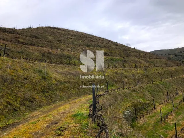 Terreno Urbano T0 - Candedo, Mur�a, Vila Real - Miniatura: 26/39