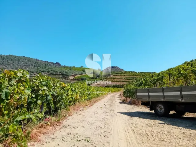 Terreno Urbano T0 - Candedo, Mur�a, Vila Real - Miniatura: 30/39