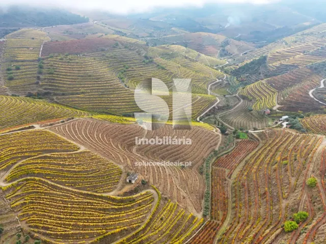 Terreno Urbano T0 - Candedo, Mur�a, Vila Real - Miniatura: 32/39