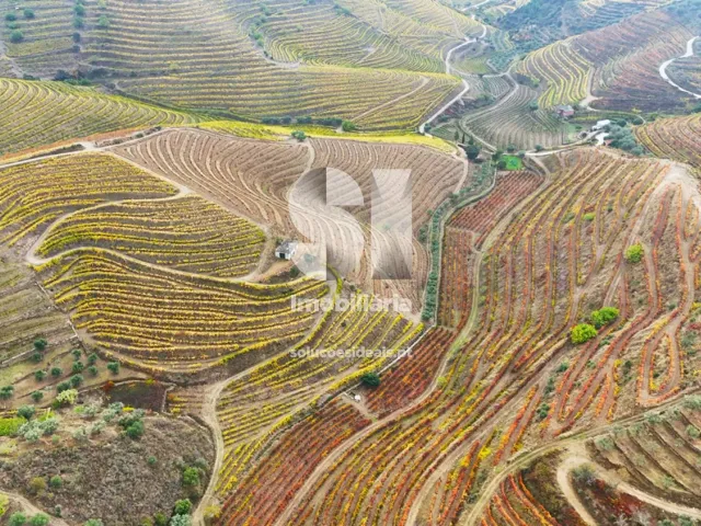 Terreno Urbano T0 - Candedo, Mur�a, Vila Real - Miniatura: 34/39