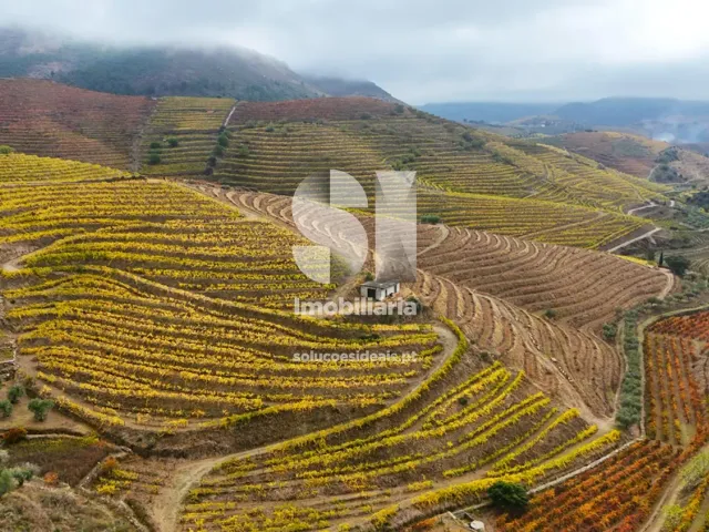 Terreno Urbano T0 - Candedo, Mur�a, Vila Real - Miniatura: 35/39
