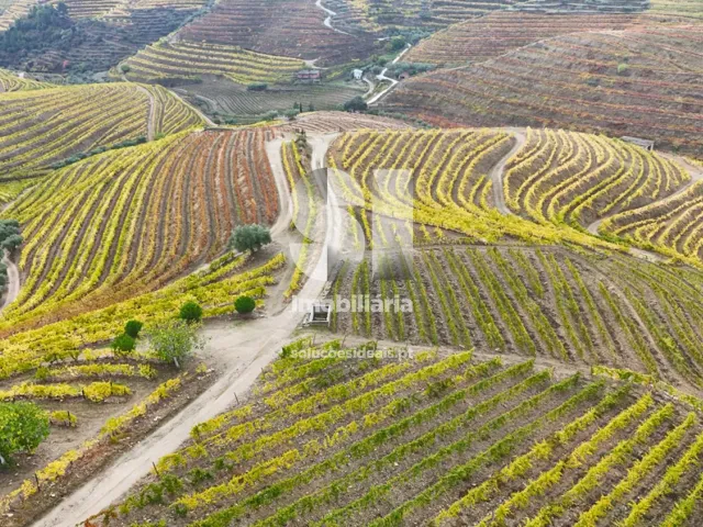 Terreno Urbano T0 - Candedo, Mur�a, Vila Real - Miniatura: 38/39