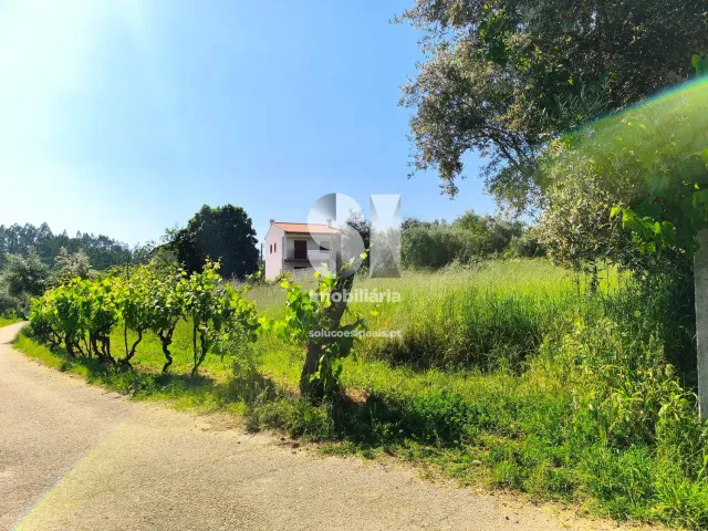 Moradia T1 - Arrifana, Vila Nova de Poiares, Coimbra - Miniatura: 2/13