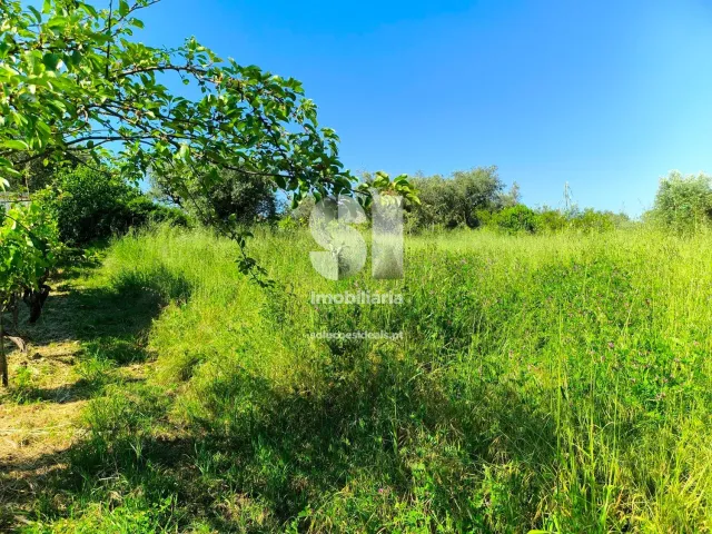 Moradia T1 - Arrifana, Vila Nova de Poiares, Coimbra - Miniatura: 4/13