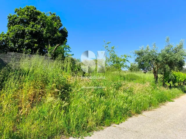 Moradia T1 - Arrifana, Vila Nova de Poiares, Coimbra - Miniatura: 6/13