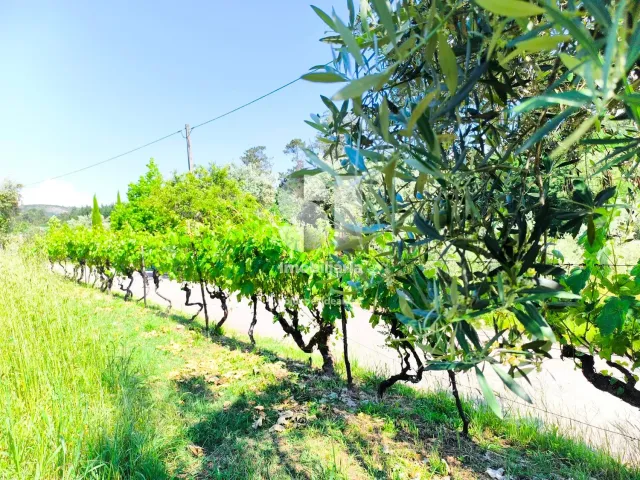 Moradia T1 - Arrifana, Vila Nova de Poiares, Coimbra - Miniatura: 8/13