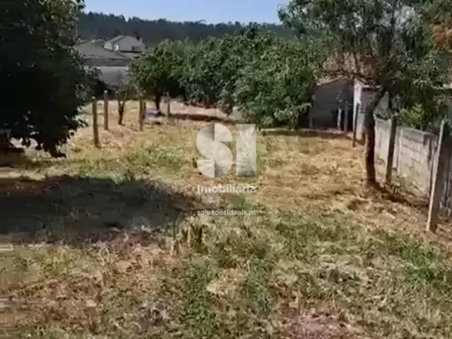 Moradia T4 - Almagreira, Vila do Porto, Ilha de Santa Maria - Miniatura: 18/19