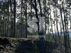 Terreno R�stico T0 - Mansores, Arouca, Aveiro - Miniatura: 1/6