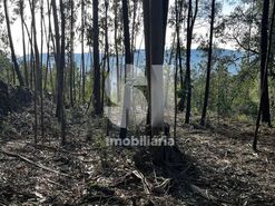 Terreno R�stico T0 - Mansores, Arouca, Aveiro - Miniatura: 2/6