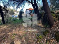 Terreno R�stico T0 - Mansores, Arouca, Aveiro - Miniatura: 3/6
