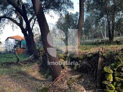 Terreno R�stico T0 - Mansores, Arouca, Aveiro - Miniatura: 4/6