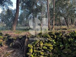 Terreno R�stico T0 - Mansores, Arouca, Aveiro - Miniatura: 5/6