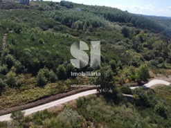 Terreno R�stico T0 - Bobadela, Oliveira do Hospital, Coimbra - Miniatura: 3/3