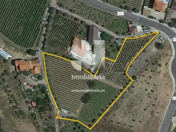 Terreno Urbano T0 - Vilarinho de S�o Rom�o, Sabrosa, Vila Real - Miniatura: 7/7
