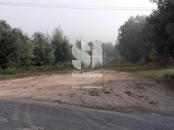 Terreno R�stico T0 - Lous�, Lous�, Coimbra - Miniatura: 5/11