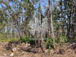 Terreno R�stico T0 - Nossa Senhora da Piedade, Our�m, Santar�m - Miniatura: 1/9