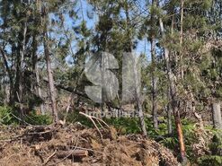 Terreno R�stico T0 - Nossa Senhora da Piedade, Our�m, Santar�m - Miniatura: 2/9