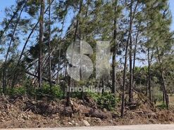 Terreno R�stico T0 - Nossa Senhora da Piedade, Our�m, Santar�m - Miniatura: 4/9