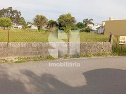 Terreno R�stico T0 - Palha�a, Oliveira do Bairro, Aveiro - Miniatura: 3/5