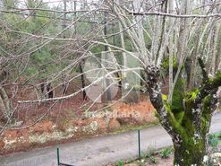 Moradia T3 - Mouronho, T�bua, Coimbra - Miniatura: 40/48