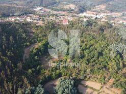 Terreno Urbano T0 - S�o Martinho da Corti�a, Arganil, Coimbra - Miniatura: 10/16