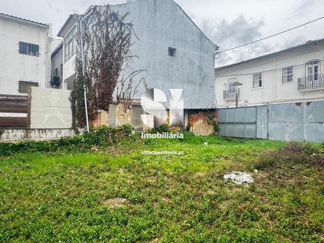 Terreno Rstico - Anadia, Anadia, Aveiro - Imagem grande