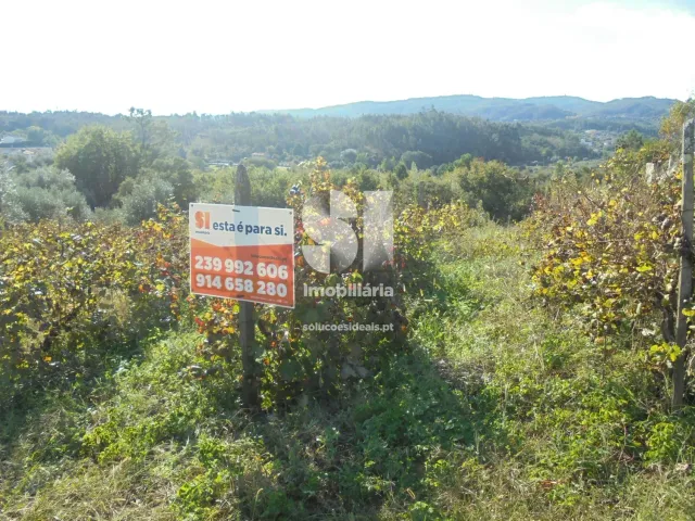 Terreno Urbano T0 - Poiares (Santo Andr�), Vila Nova de Poiares, Coimbra - Imagem grande