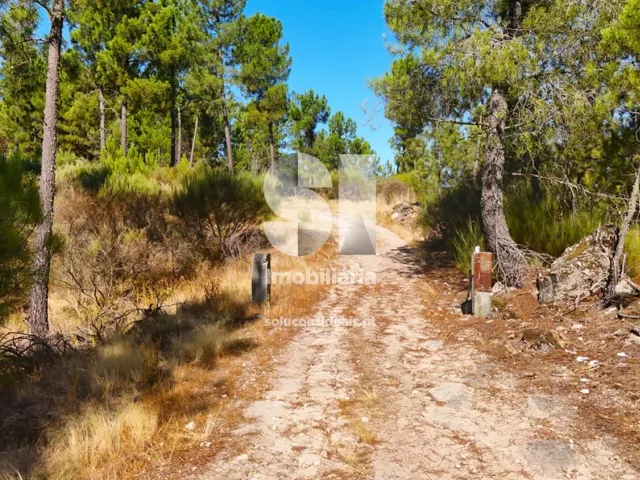 Terreno Urbano T0 - Vilar de Ma�ada, Alij�, Vila Real - Imagem grande