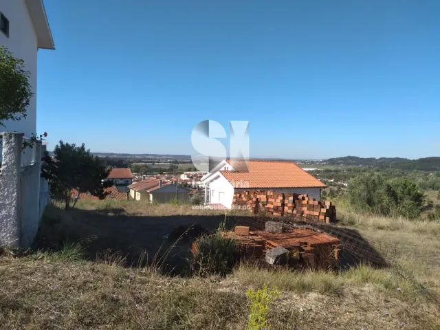 Terreno Urbano T0 - Eiras, Coimbra, Coimbra - Imagem grande