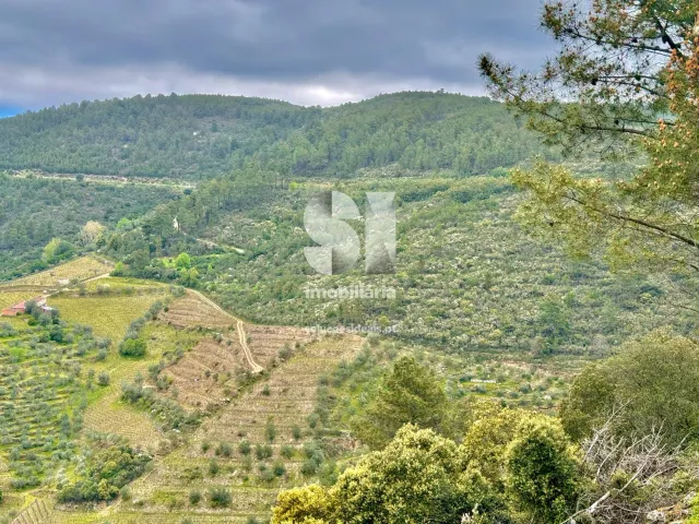 Terreno Urbano T0 - S�o Martinho de Antas e Paradela de Gui�es, Sabrosa, Vila Real - Imagem grande