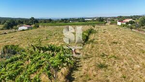 Terreno Rstico - So Martinho de Antas e Paradela de Guies, Sabrosa, Vila Real